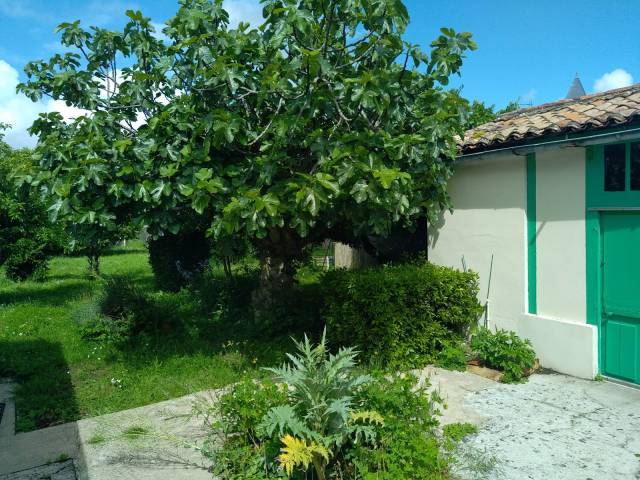 2024-07 - La Rochelle